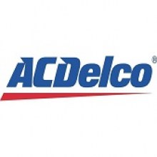 AC_Delco_Logo20150830-7638-yr9pep_960x